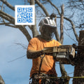 St. Louis Arborist Services: The Importance of Emergency Tree Removal