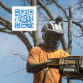 The Importance of References and Customer Reviews for St. Louis Arborist Services