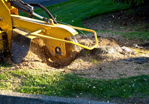 St. Louis Arborist Services: The Complete Guide to Stump Grinding