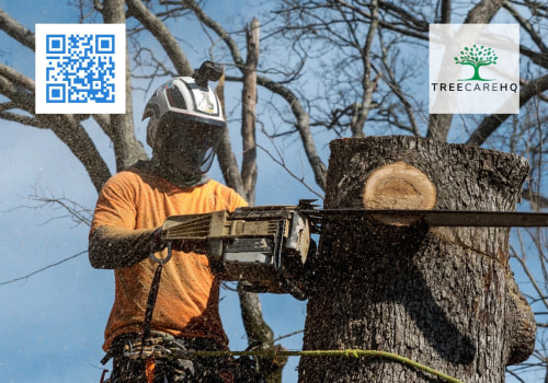 St. Louis Arborist Services: The Importance of Emergency Tree Removal